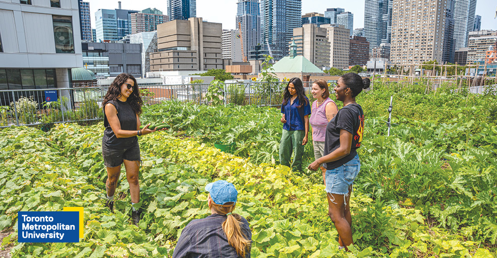 Give to the TMU Urban Farm